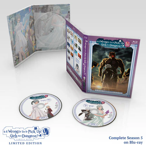 Is It Wrong to Try to Pick Up Girls in a Dungeon? V Premium Box Set - Image 5
