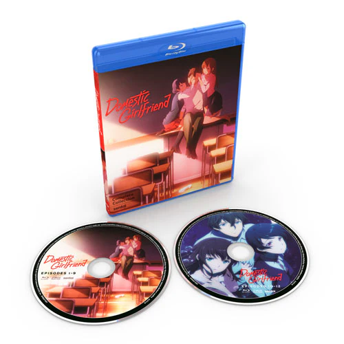 Domestic Girlfriend Complete Collection - Image 2
